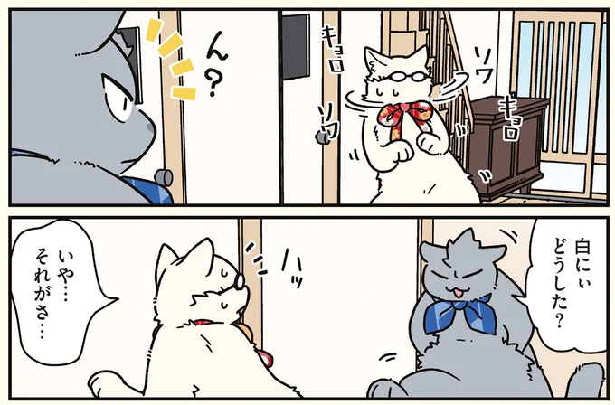 『ブラック企業の社員が猫になって人生が変わった話8 猫兄弟の場合』 16258958.webp