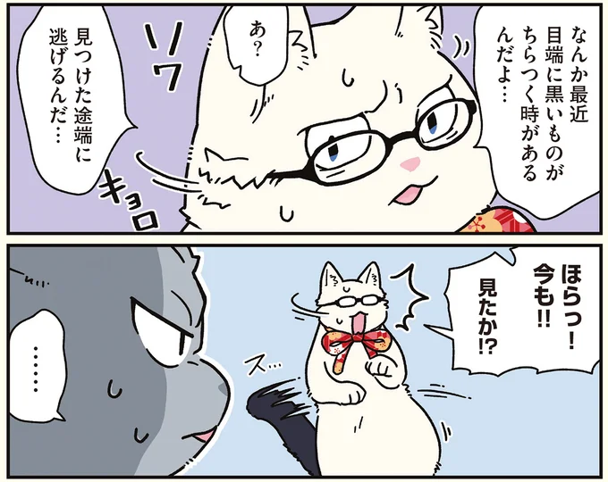 『ブラック企業の社員が猫になって人生が変わった話8 猫兄弟の場合』 16258959.webp