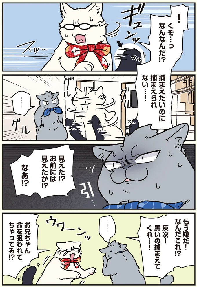 『ブラック企業の社員が猫になって人生が変わった話8 猫兄弟の場合』 16258960.webp