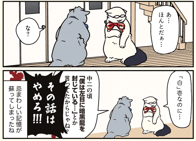 『ブラック企業の社員が猫になって人生が変わった話8 猫兄弟の場合』 16258966.webp
