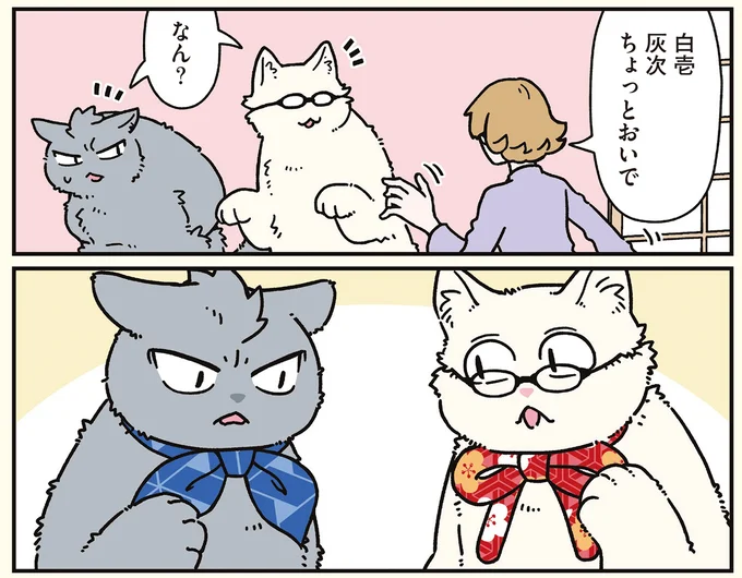 『ブラック企業の社員が猫になって人生が変わった話8 猫兄弟の場合』 16258970.webp