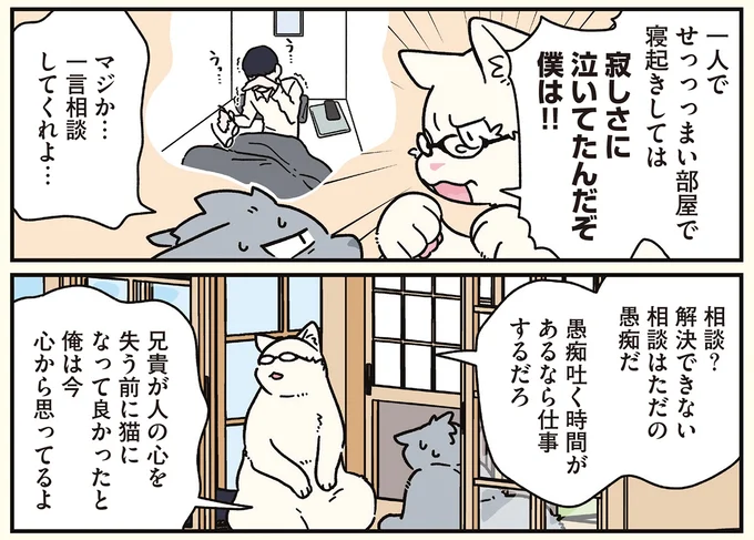 『ブラック企業の社員が猫になって人生が変わった話8 猫兄弟の場合』 16258988.webp