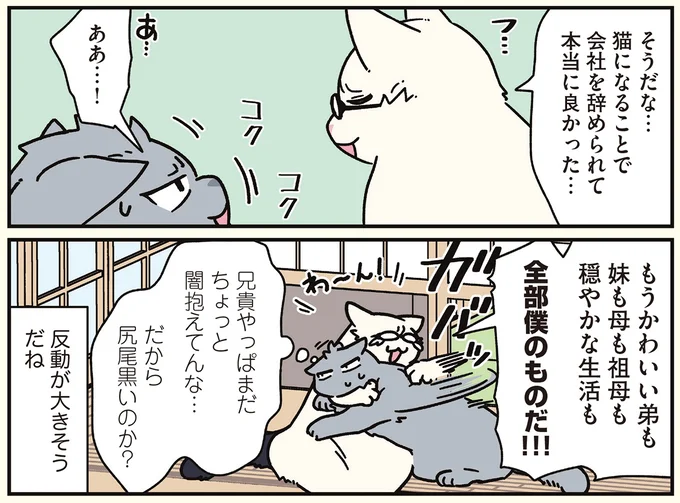 『ブラック企業の社員が猫になって人生が変わった話8 猫兄弟の場合』 16258989.webp