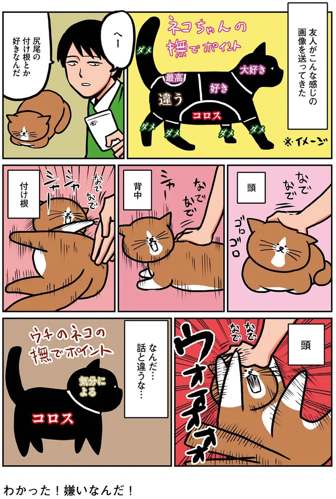『鴻池剛と猫のぽんた ニャアアアン! 1～4』 16268695.webp