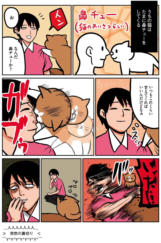 『鴻池剛と猫のぽんた ニャアアアン! 1～4』 16268756.webp