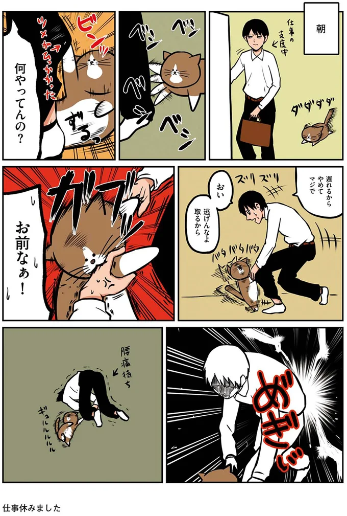 『鴻池剛と猫のぽんた ニャアアアン! 1～4』 16268765.webp