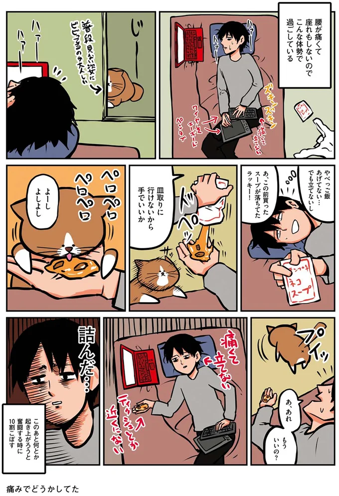 『鴻池剛と猫のぽんた ニャアアアン! 1～4』 16268766.webp