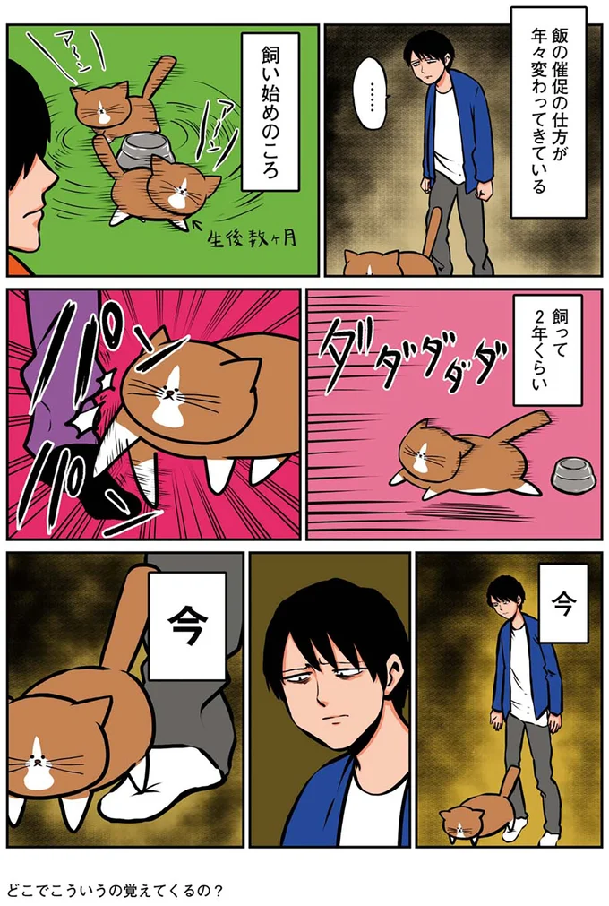 『鴻池剛と猫のぽんた ニャアアアン! 1～4』 16268772.webp