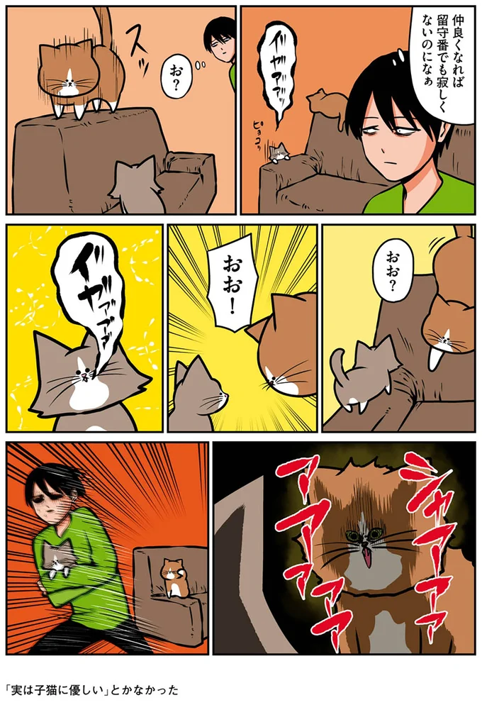 『鴻池剛と猫のぽんた ニャアアアン! 1～4』 16268849.webp