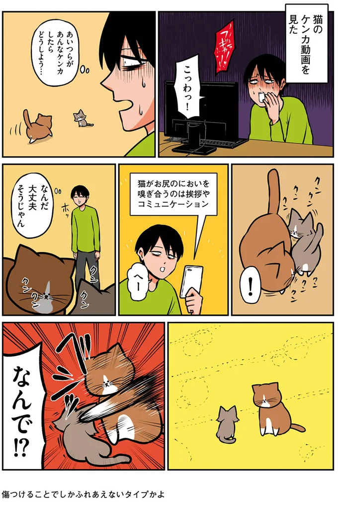 『鴻池剛と猫のぽんた ニャアアアン! 1～4』 16268850.webp