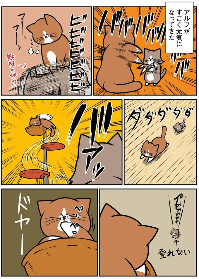 『鴻池剛と猫のぽんた ニャアアアン! 1～4』 16268855.webp