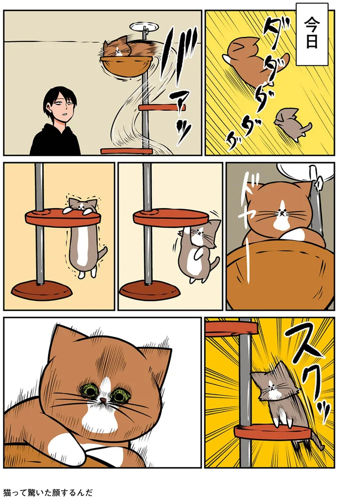 『鴻池剛と猫のぽんた ニャアアアン! 1～4』 16268856.webp