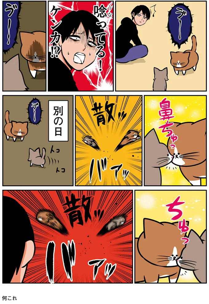 『鴻池剛と猫のぽんた ニャアアアン! 1～4』 16268862.webp