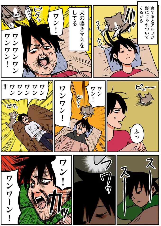 『鴻池剛と猫のぽんた ニャアアアン! 1～4』 16268870.webp