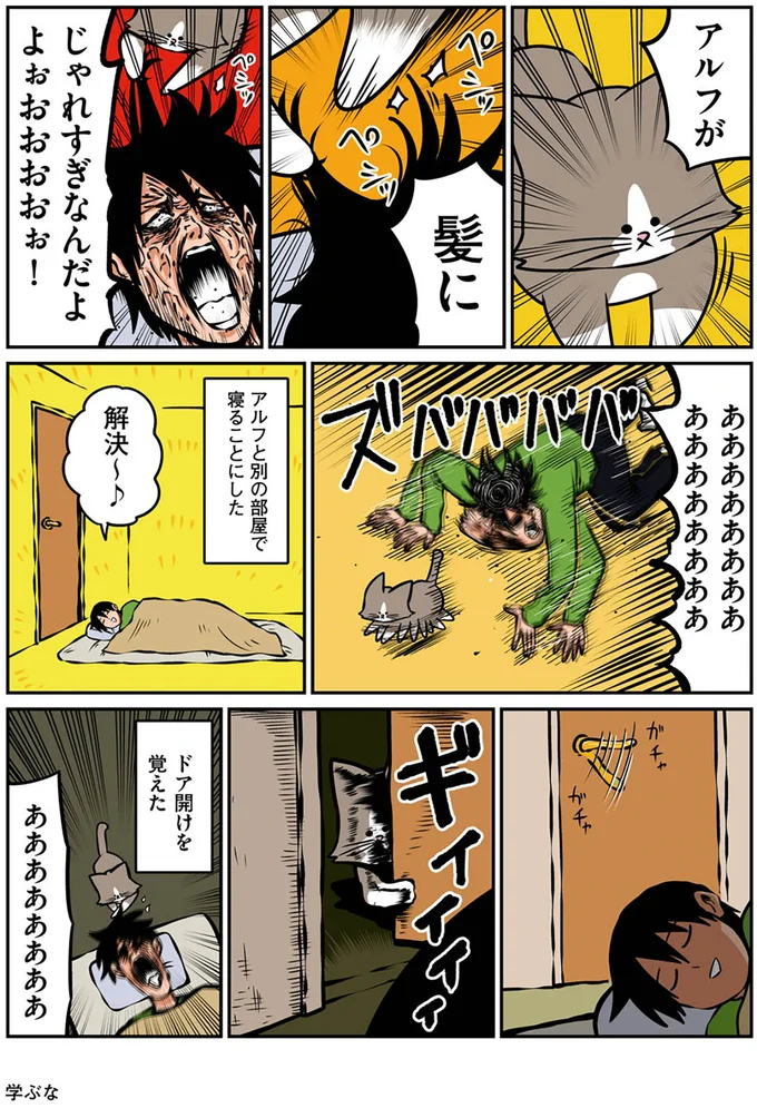 『鴻池剛と猫のぽんた ニャアアアン! 1～4』 16268925.webp