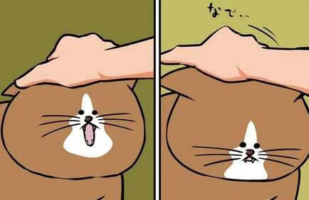 猫の頭ナデナデから始まる「理由なきデスゲーム」。お前、完全に口が...／鴻池剛と猫のぽんた 1-3