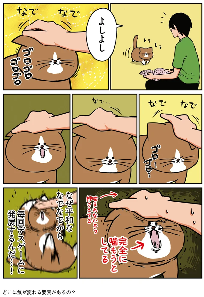 『鴻池剛と猫のぽんた ニャアアアン! 1～4』 16268933.webp