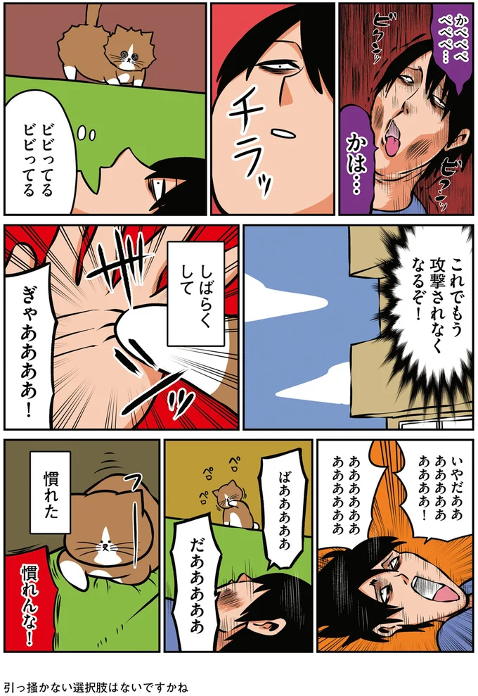 『鴻池剛と猫のぽんた ニャアアアン! 1～4』 16268945.webp