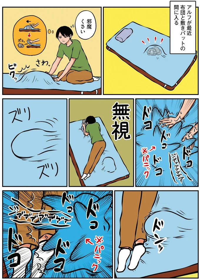 『鴻池剛と猫のぽんた ニャアアアン! 1～4』 16268956.webp