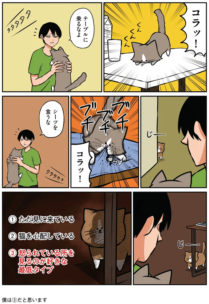 『鴻池剛と猫のぽんた ニャアアアン! 1～4』 16268957.webp