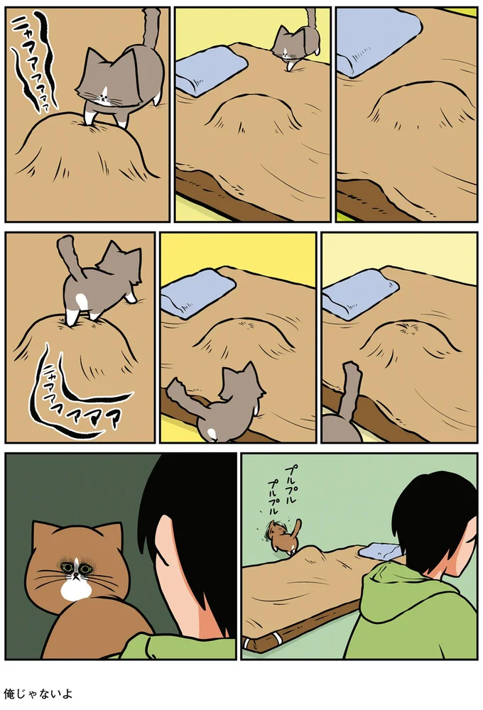 『鴻池剛と猫のぽんた ニャアアアン! 1～4』 16269273.webp