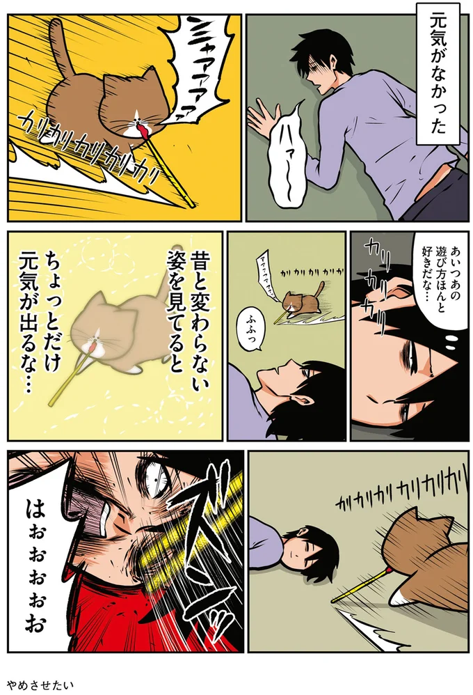 『鴻池剛と猫のぽんた ニャアアアン! 1～4』 16269284.webp