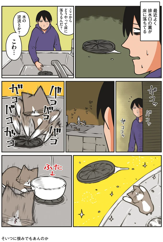 『鴻池剛と猫のぽんた ニャアアアン! 1～4』 16269285.webp