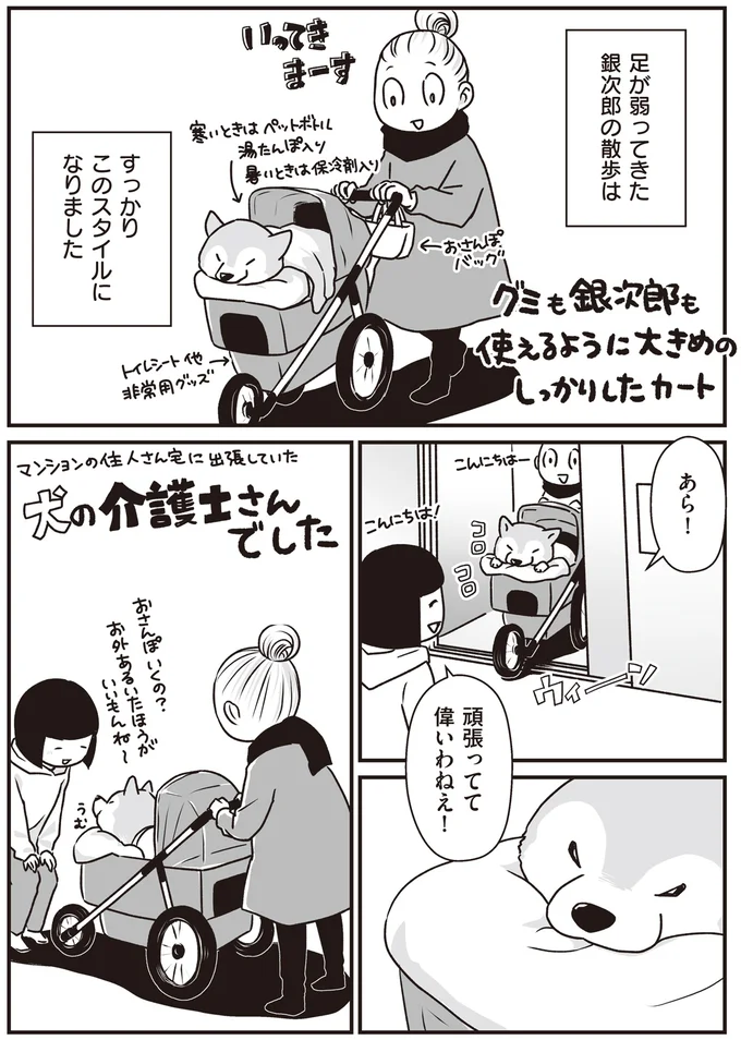 『何度でも言うね、大好きだよ 愛犬グミと銀次郎と過ごした日々』 16295480.webp