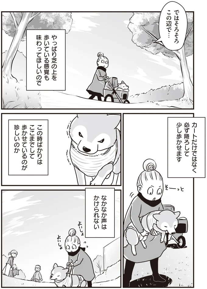 『何度でも言うね、大好きだよ 愛犬グミと銀次郎と過ごした日々』 16295482.webp