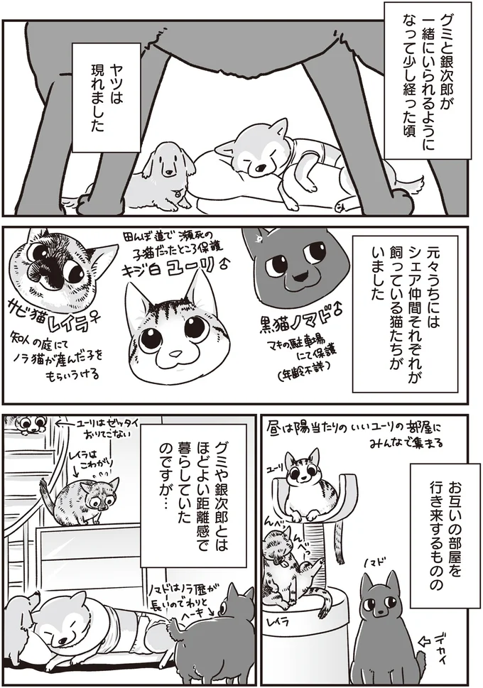 『何度でも言うね、大好きだよ 愛犬グミと銀次郎と過ごした日々』 16295515.webp
