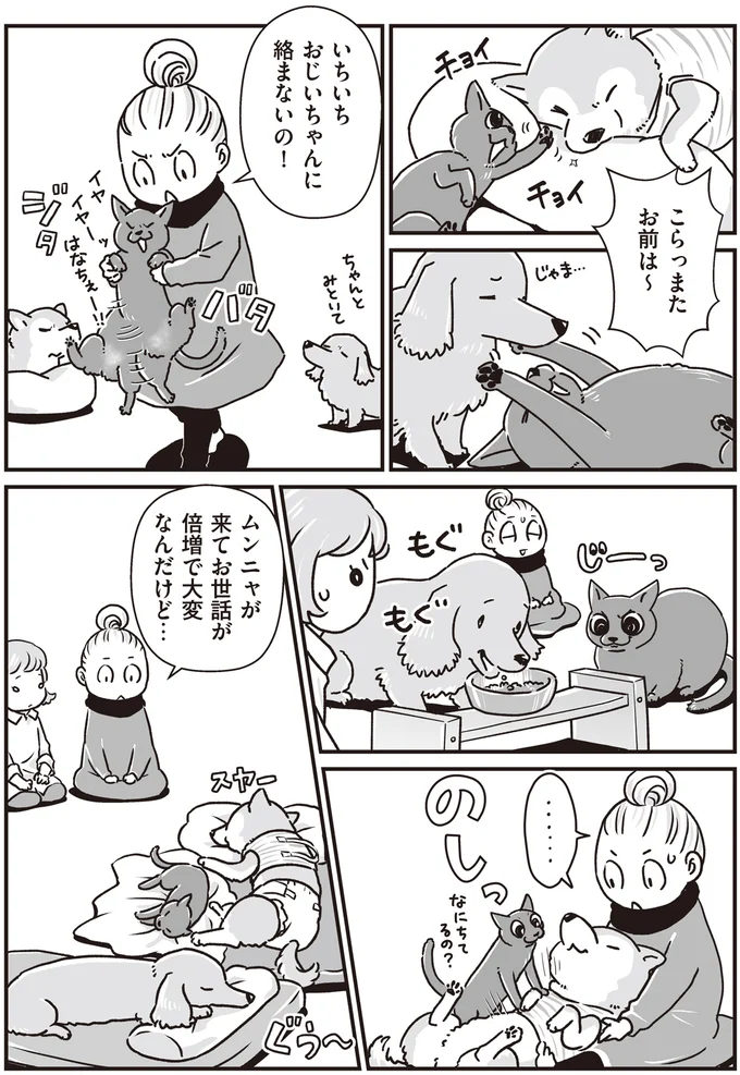 『何度でも言うね、大好きだよ 愛犬グミと銀次郎と過ごした日々』 16295524.webp