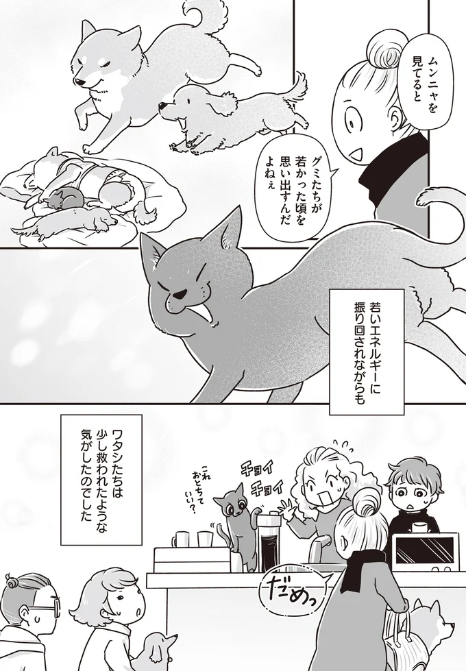 『何度でも言うね、大好きだよ 愛犬グミと銀次郎と過ごした日々』 16295526.webp