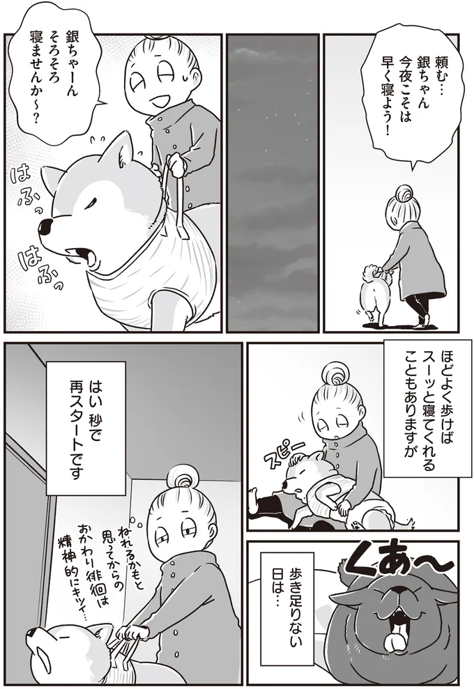 『何度でも言うね、大好きだよ 愛犬グミと銀次郎と過ごした日々』 16295535.webp