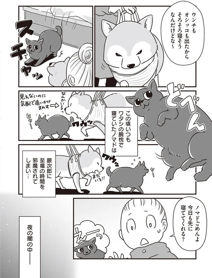 『何度でも言うね、大好きだよ 愛犬グミと銀次郎と過ごした日々』 16295536.webp