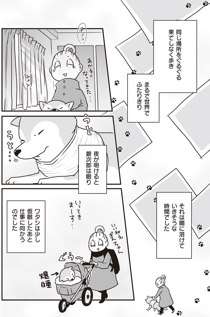 『何度でも言うね、大好きだよ 愛犬グミと銀次郎と過ごした日々』 16295537.webp