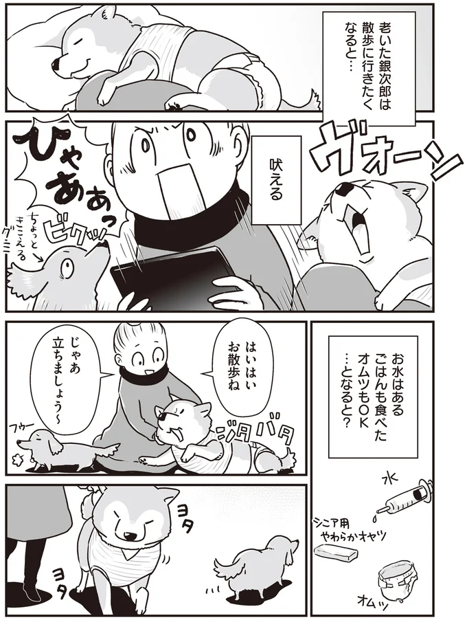 『何度でも言うね、大好きだよ 愛犬グミと銀次郎と過ごした日々』 16295539.webp