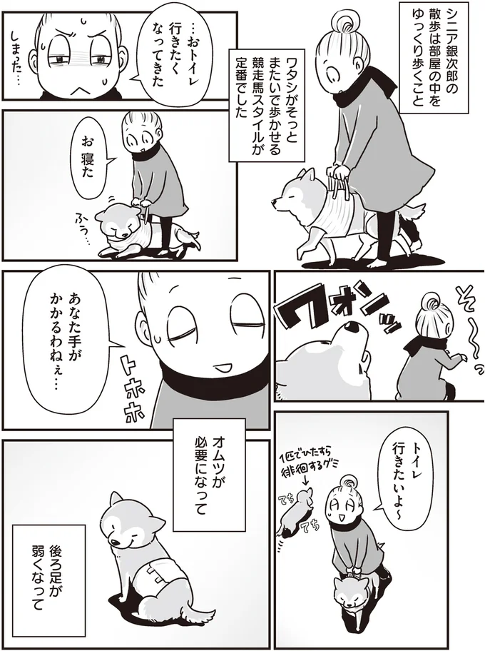 『何度でも言うね、大好きだよ 愛犬グミと銀次郎と過ごした日々』 16295540.webp