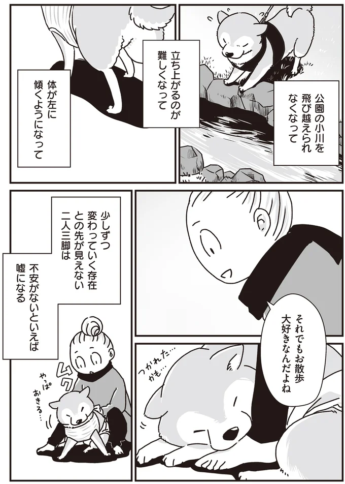 『何度でも言うね、大好きだよ 愛犬グミと銀次郎と過ごした日々』 16295541.webp