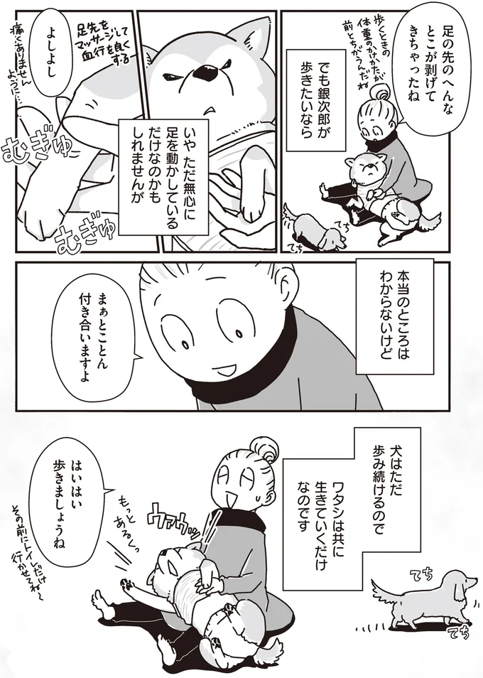 『何度でも言うね、大好きだよ 愛犬グミと銀次郎と過ごした日々』 16295542.webp