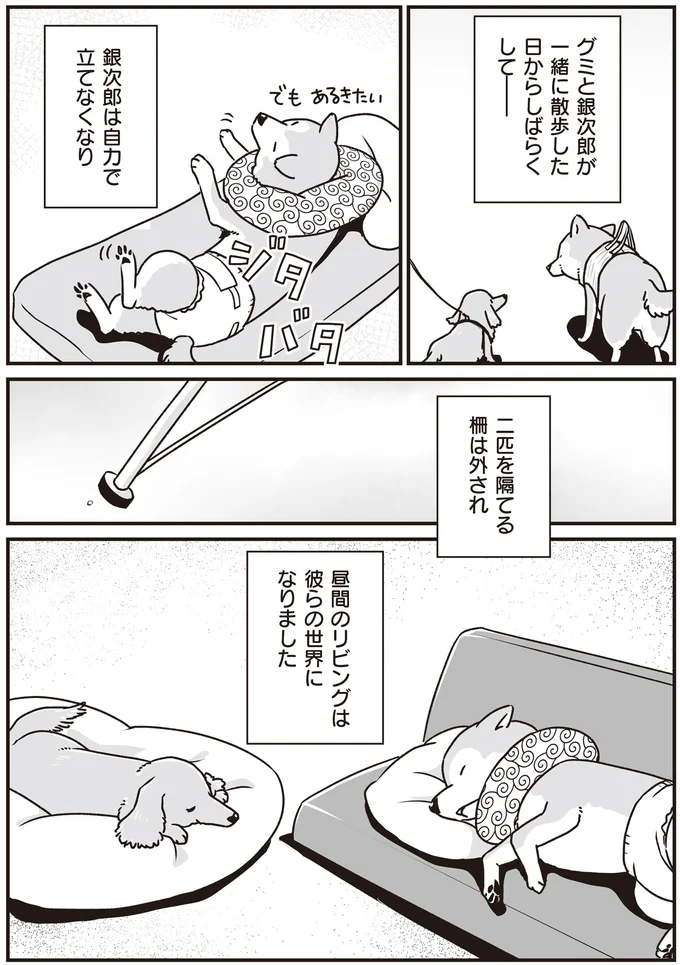 『何度でも言うね、大好きだよ 愛犬グミと銀次郎と過ごした日々』 16295545.webp