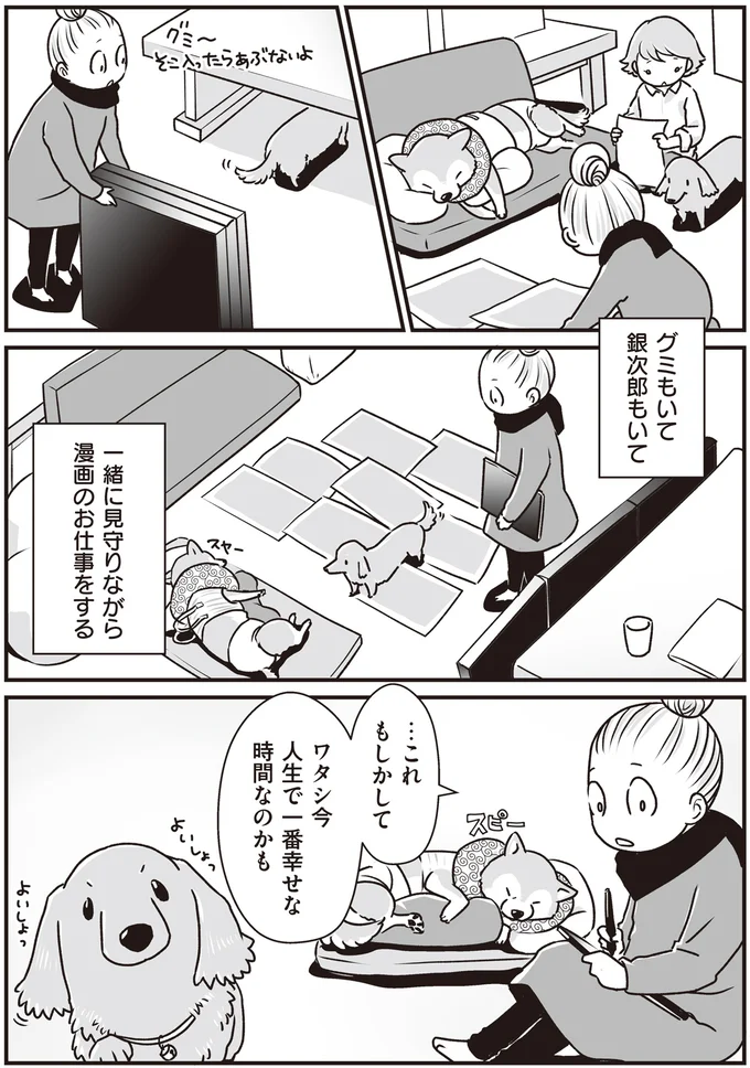 『何度でも言うね、大好きだよ 愛犬グミと銀次郎と過ごした日々』 16295546.webp