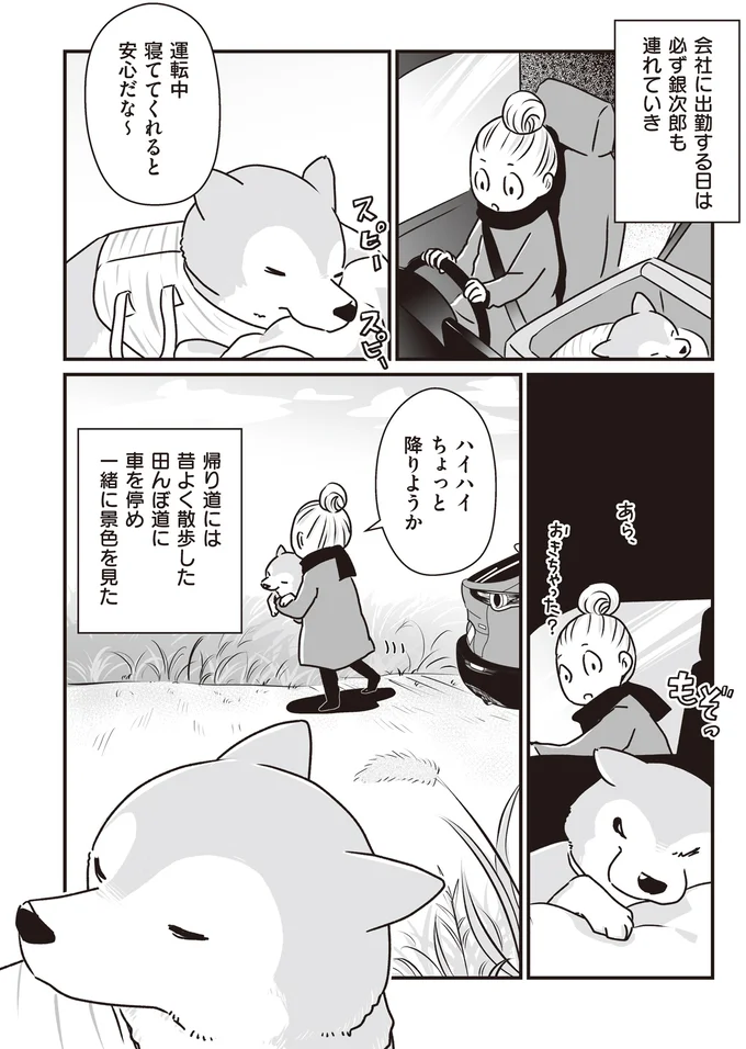 『何度でも言うね、大好きだよ 愛犬グミと銀次郎と過ごした日々』 16295547.webp