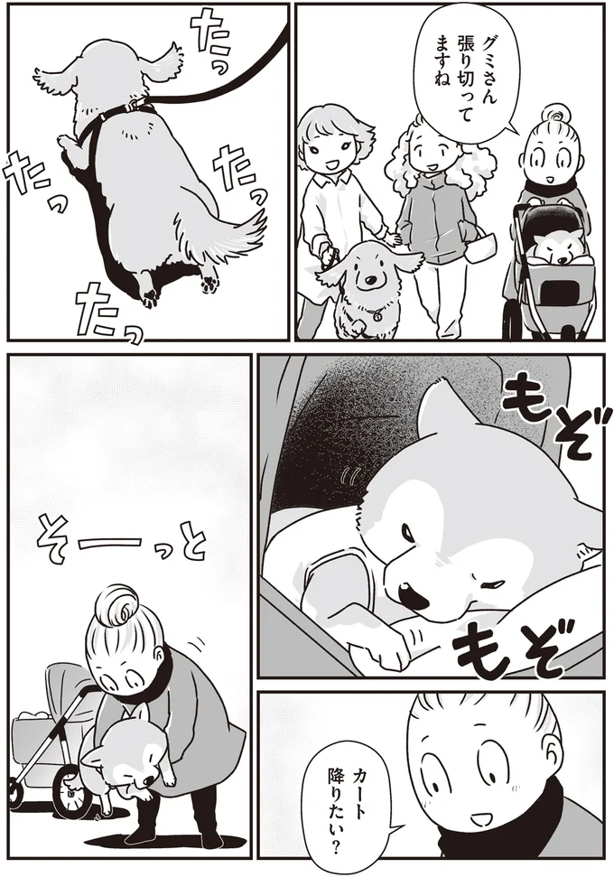 『何度でも言うね、大好きだよ 愛犬グミと銀次郎と過ごした日々』 16295551.webp
