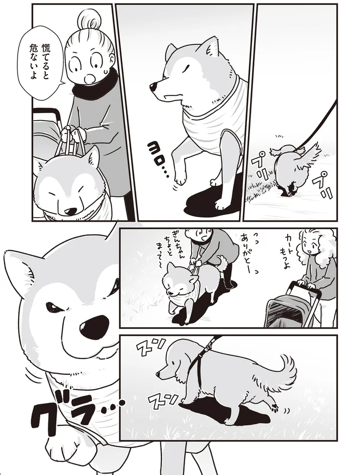 『何度でも言うね、大好きだよ 愛犬グミと銀次郎と過ごした日々』 16295552.webp