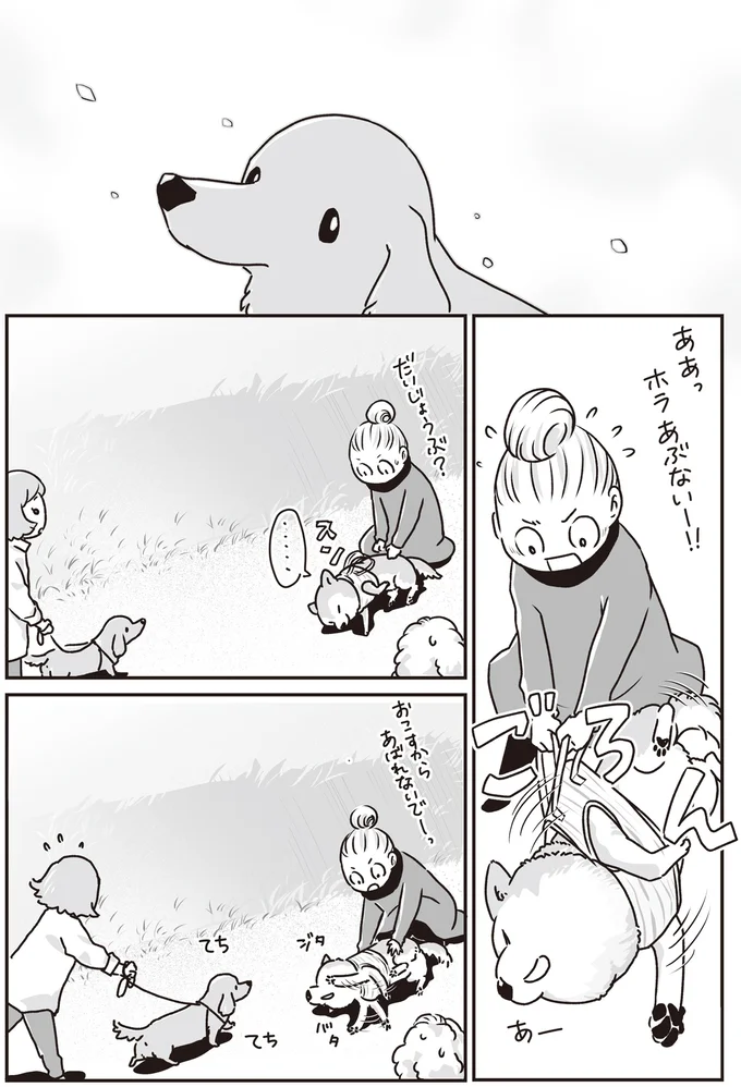 『何度でも言うね、大好きだよ 愛犬グミと銀次郎と過ごした日々』 16295553.webp