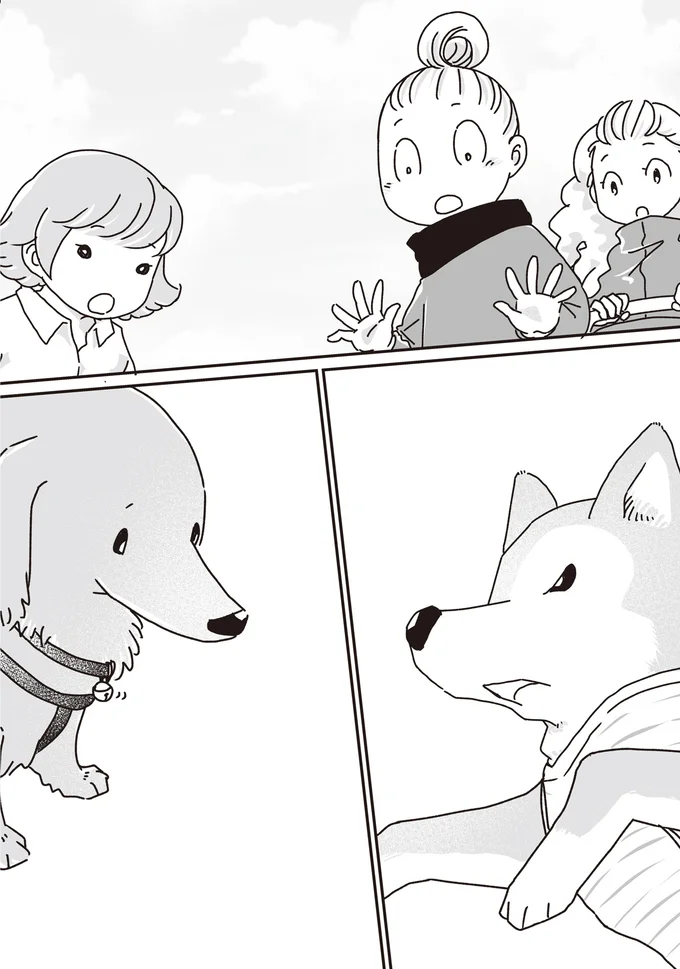 『何度でも言うね、大好きだよ 愛犬グミと銀次郎と過ごした日々』 16295554.webp