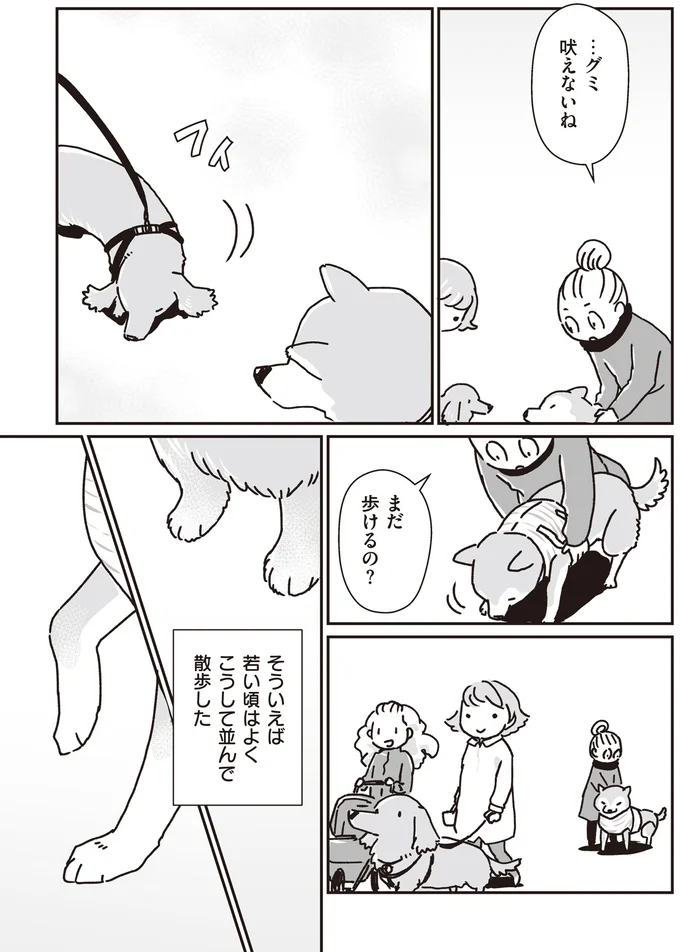 『何度でも言うね、大好きだよ 愛犬グミと銀次郎と過ごした日々』 16295555.webp