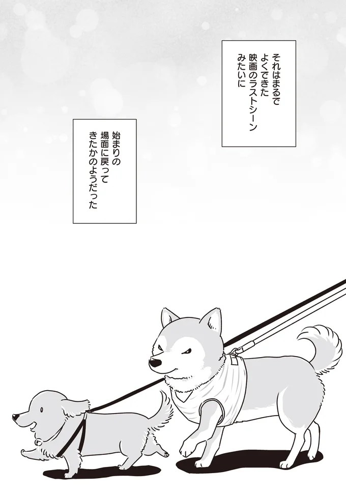 『何度でも言うね、大好きだよ 愛犬グミと銀次郎と過ごした日々』 16295556.webp