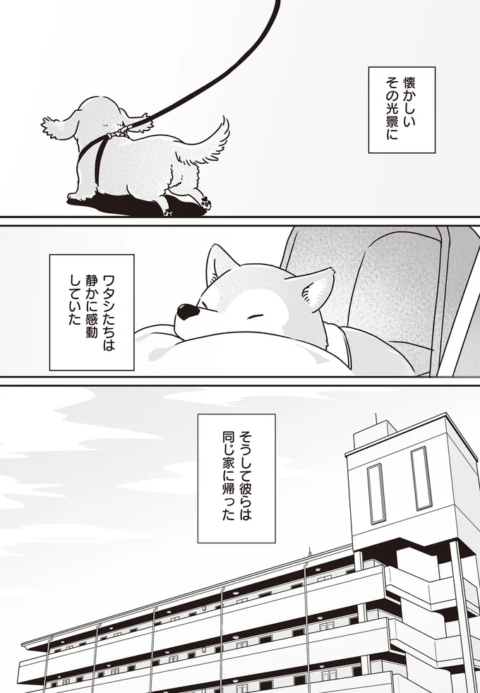 『何度でも言うね、大好きだよ 愛犬グミと銀次郎と過ごした日々』 16295557.webp
