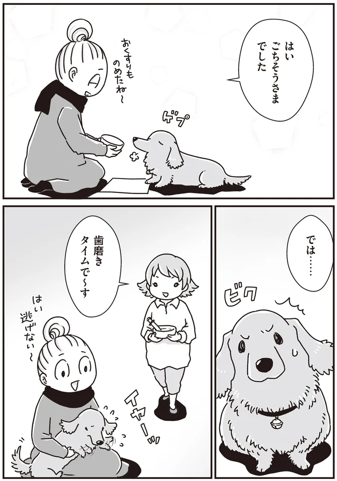『何度でも言うね、大好きだよ 愛犬グミと銀次郎と過ごした日々』 16295571.webp